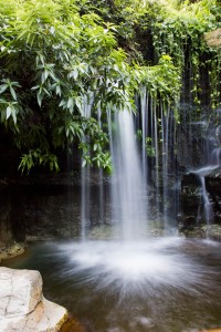 Botanical Garden's Mini Waterfall