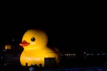 Keelung rubber duck at night
